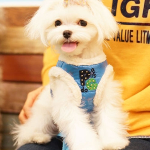��ǰ �� �̹���