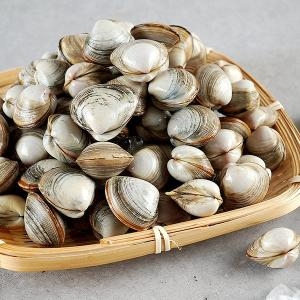 대풍수산식품 동죽 5kg [1개]