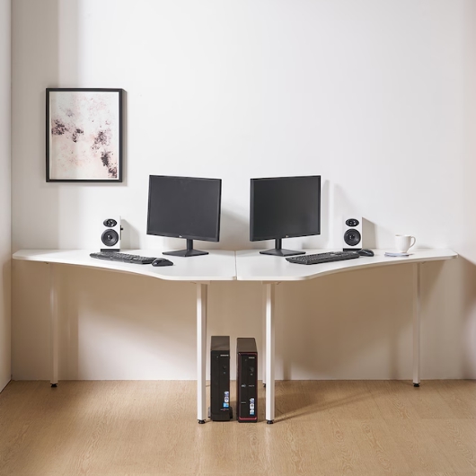 �������� �θǽ� �ڳ��� ��ǻ��å��