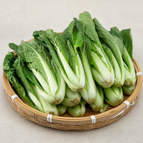 곰곰 국내산 얼갈이 1kg 1개_이미지