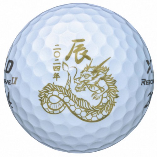 ���� ���ÿ� 2024 ���ٿ�� ����̺�2 ���� ������