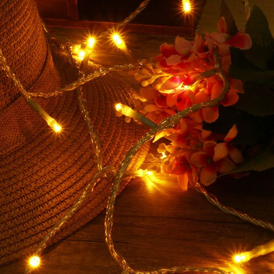 Ʈ�� ���ϼ� 100�� ������ LED ���� �������� 10M