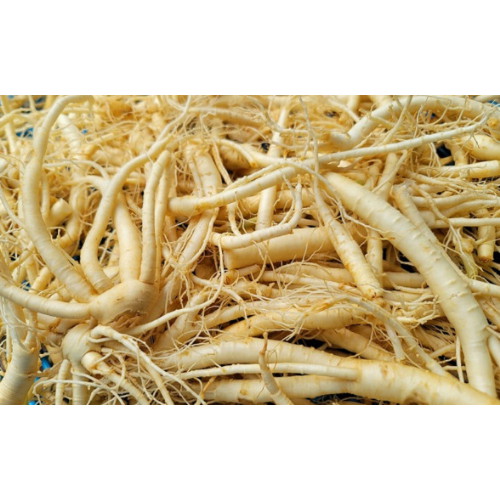 [불명] 가족인삼 가정용 파삼 500g (1개)