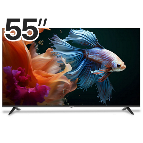 �ʸ��� 55PUN5030