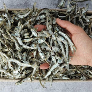 다시멸치 1.5kg 상급