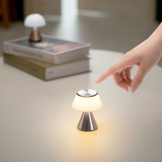 LEXON �縶 S �̴� ���� �����