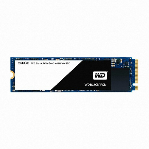 Western Digital WD BLACK M.2 NVMe (256GB)_이미지