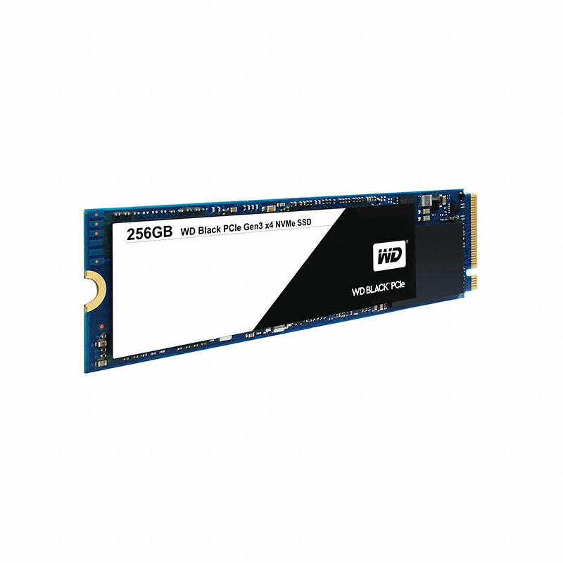 Western Digital WD BLACK M.2 NVMe (256GB)_이미지