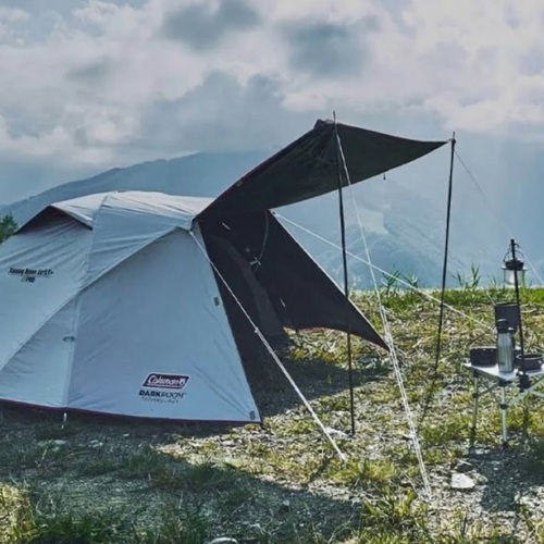 �ݸ� ��� �� ���� LX�÷��� �ƽþ� ��Ʈ