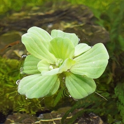 �̹̳׾����� ������ 3�Ѹ�  �λ����   ġ������ó ���� -�̹̳�