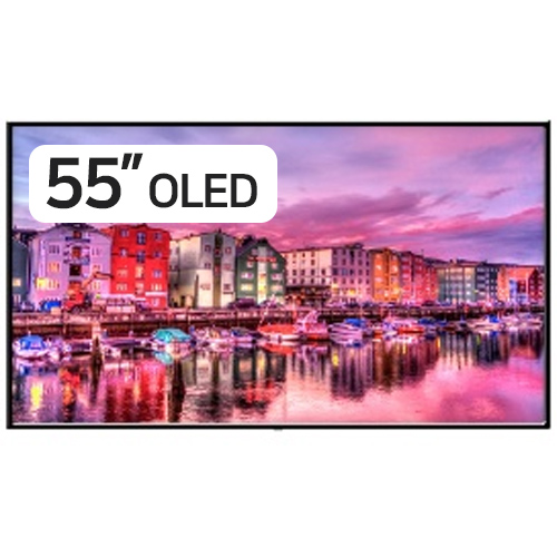 LG���� �÷��� evo OLED55G1KNA