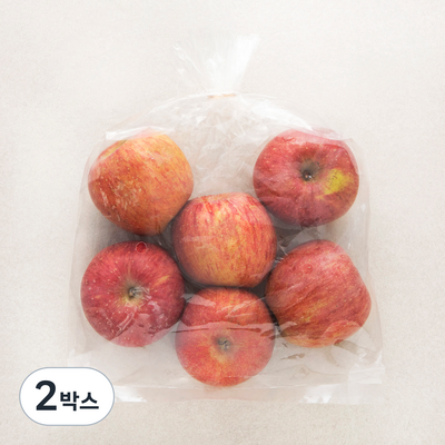 곰곰 당도선별 사과 중과 (1.5kg,2봉)_이미지