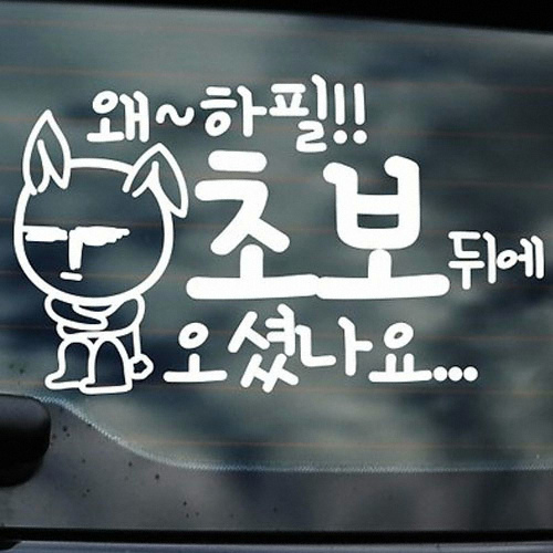 카티커 (541) 왜하필 초보뒤에 오셨나요 초보운전 스티커