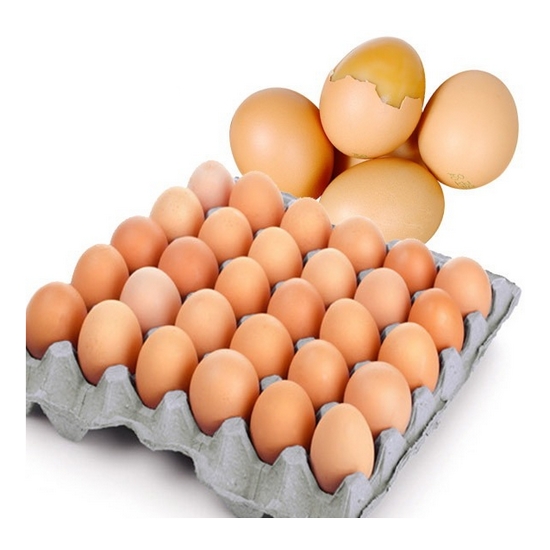 친환경 무항생제 구운란 30구