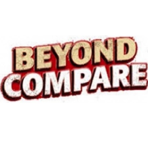 Scooter Software Beyond Compare V4 Standard (5 Copy이상 라이선스)_이미지