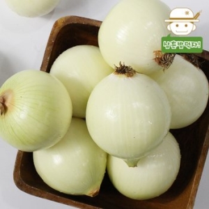  삼촌농장 간편 무안 깐 양파 대특 20kg 식자재용