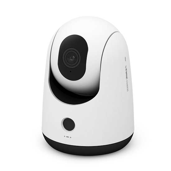 EFM ipTIME C500GS (+256GB)