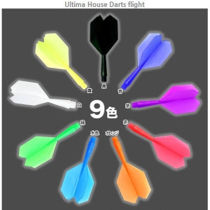 ���ϸ� ��Ʈ�� ��Ʈ �ö���Ʈ 40��