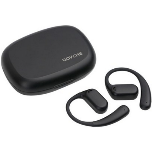 ROYCHE BCE-200_이미지