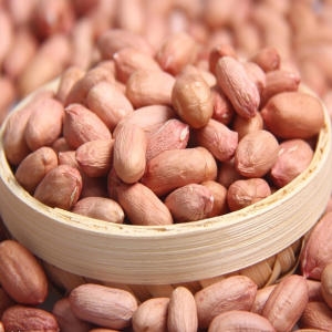 �ʺ����� ���� ������ �˶��� ���˶��� 500g ������ ���� ������