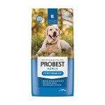 �츮�� ���κ���Ʈ �� �����ս� 17kg