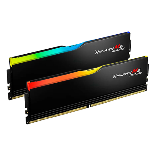 G.SKILL DDR5-6000 CL28 RIPJAWS M5 NEO RGB 블랙 패키지 (64GB(32Gx2))_이미지