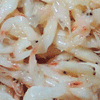 강경장수젓갈 전통 강경 맛깔젓 새우젓 육젓 500g [1개]