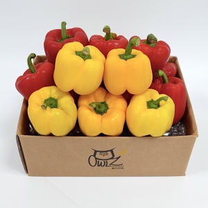 가락시장 새벽 경매 못난이 파프리카 피망 사이즈 색상랜덤 5kg_이미지