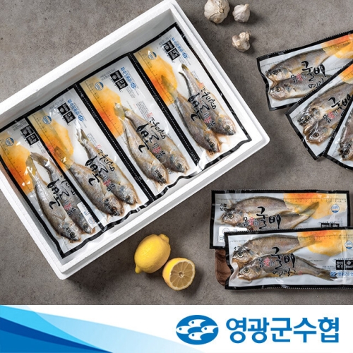 영광군수협 법성포 영광 진공 굴비 30미 2.1kg