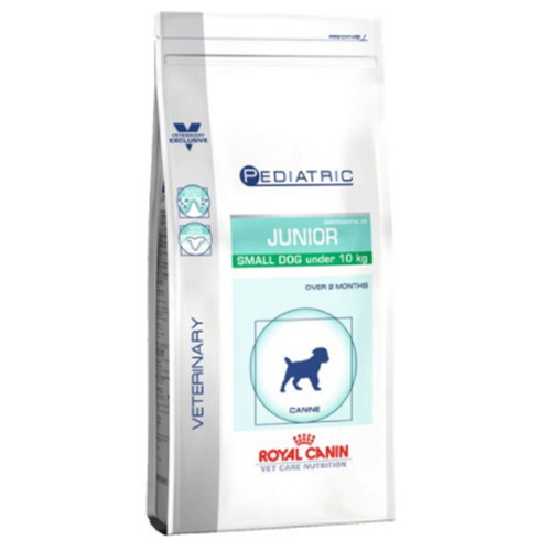 �ξ�ĳ�� �Ե� �� �ִϾ� ���� ��