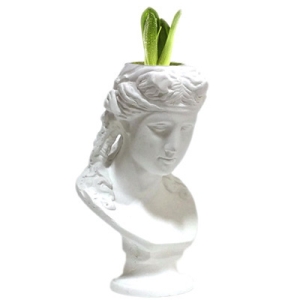 모리아트 석고상화분 10종 아리아스 20cm내외 틸란드시아 다육