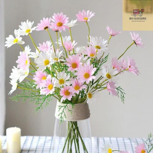 �ڽ��� ��ȭ ���׸��� ��ũ�ö�� ����� ���� �ɴٹ� ����