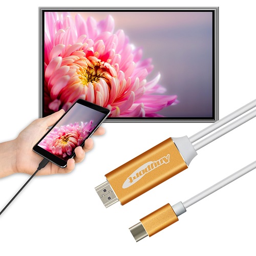 엘디네트웍스 Anyport C to HDMI 미러링 케이블 (AP-MW4K PLUS) (2m)_이미지