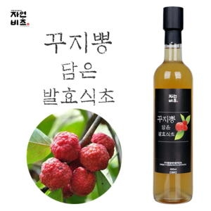  들산초 자연비초 꾸지뽕담은 발효식초 500ml [1개]