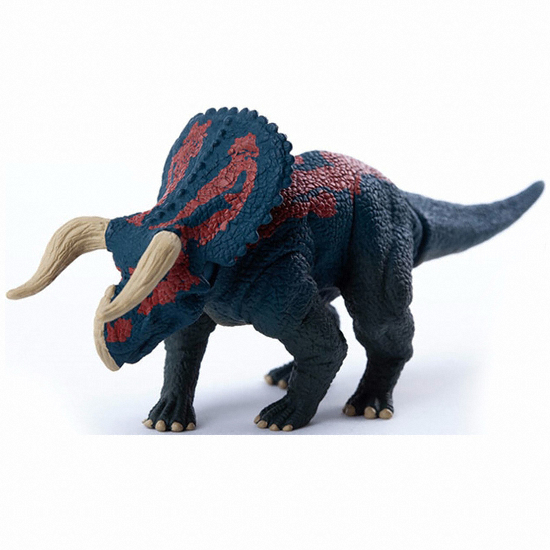 ��ǰ �� �̹���