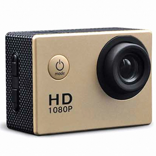 루이인터내셔널 아리엘