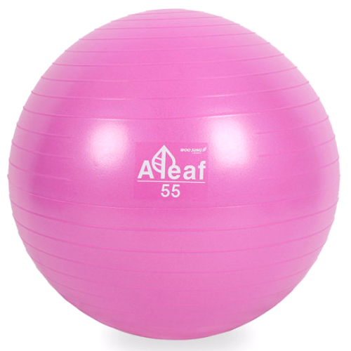 우성레포츠 아리프 안티버스트 짐볼 55cm_이미지