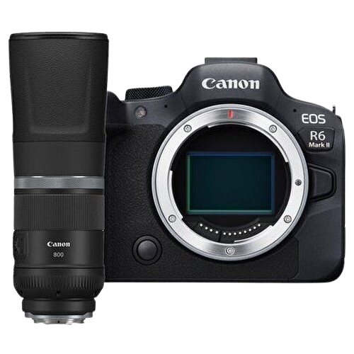 ĳ�� EOS R6 Mark II ���Ʈ