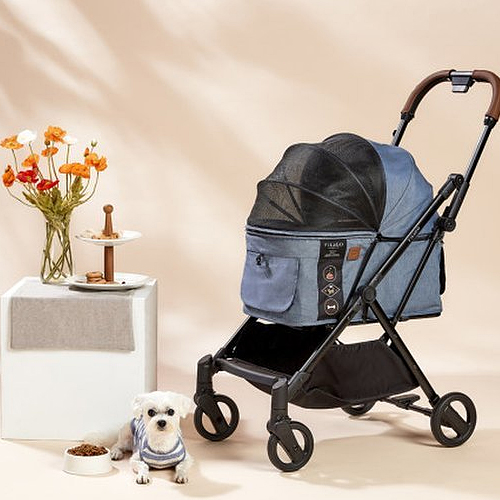 ����ī�� �������� �������� ������ ������