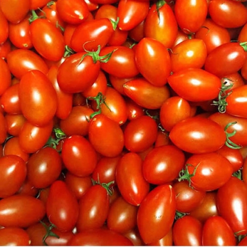 따봉이네 대추방울토마토 3-4번과 2.5kg (1개)_이미지