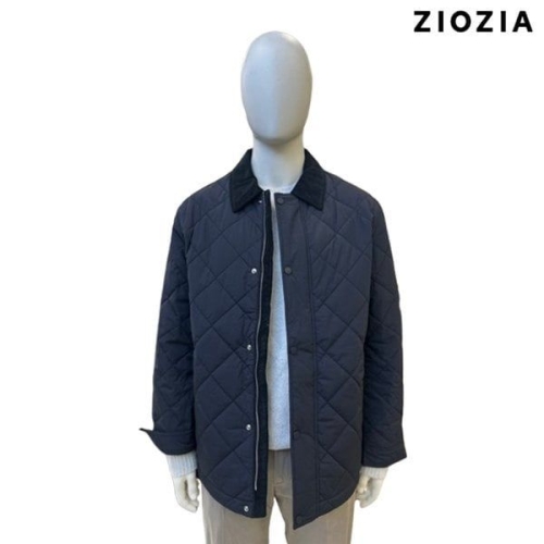 �ż���� �������� ������ �ڵ���� ī���� ���� �߱��� �淮 �е� ADF4JP1901DNV