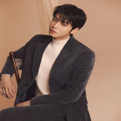 리버클래시 차은우 PICK LLW51683 아이보리 솔리드 하프 터틀넥 니트_이미지