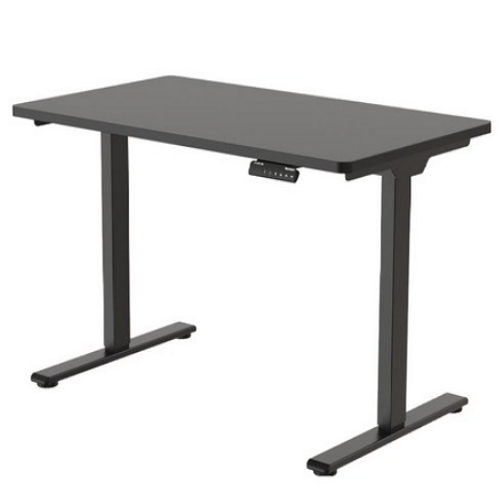FLEXISPOT 플랜티엠 E1 PRO 듀얼모터 모션 스탠딩 책상