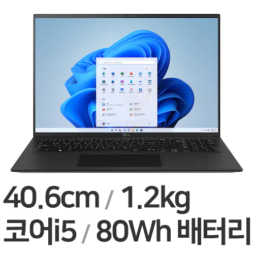 LG전자 2022 그램16(12세대) 16Z90Q-GA5LK (SSD 256GB)
