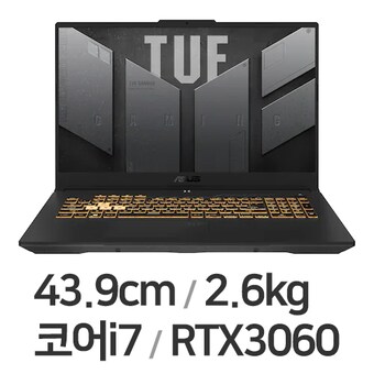 ASUS TUF Gaming F17 FX707ZM-HX037 WIN10 16GB램