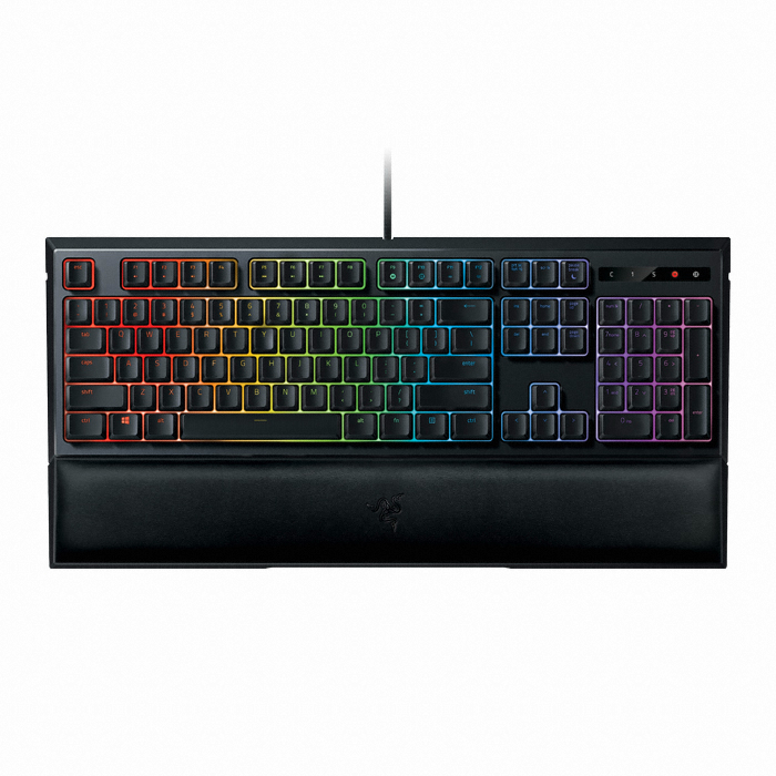 Razer Ornata Chroma KR_이미지
