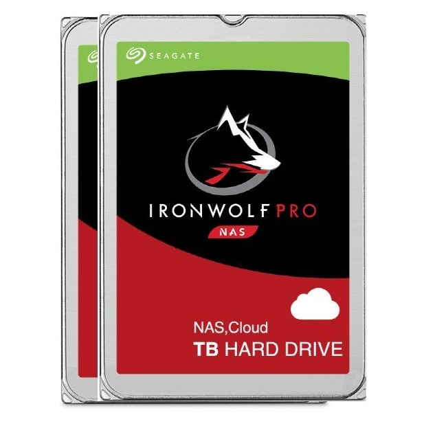 Seagate IronWolf Pro 패키지 7200/256M ST12000NE0008 (2x12TB)