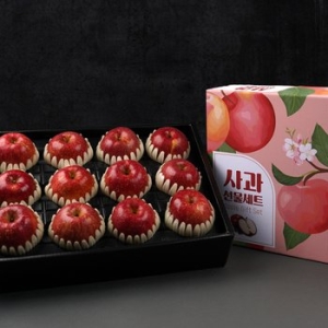 농업회사법인참 당도선별 사과세트 3.7kg (1개)_이미지