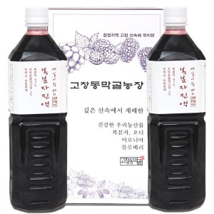 복분자 진액 원액 즙 1L x 2병