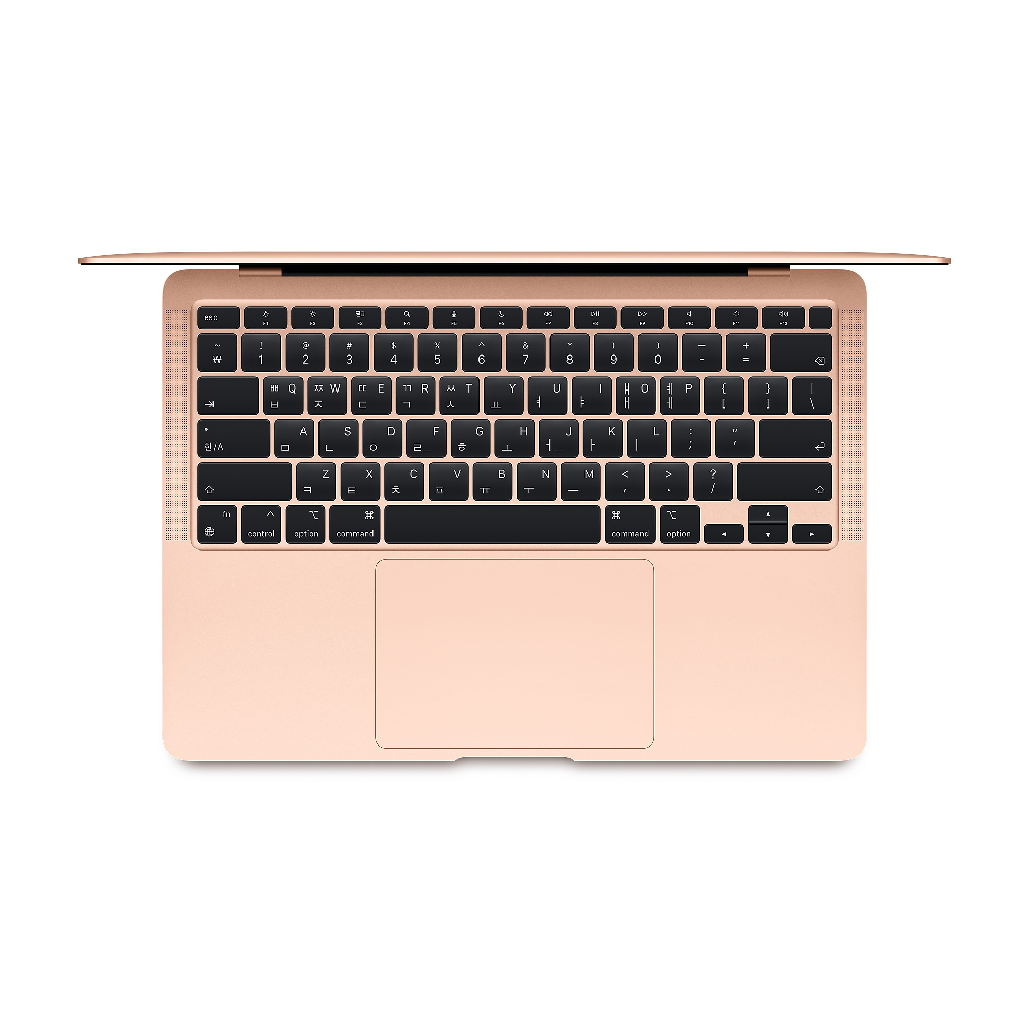 APPLE 맥북에어13 M1 8코어 CPU, 7코어 GPU (단기대여) (1일)_이미지